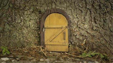 A tiny arched fairy door set into the bark of a tree