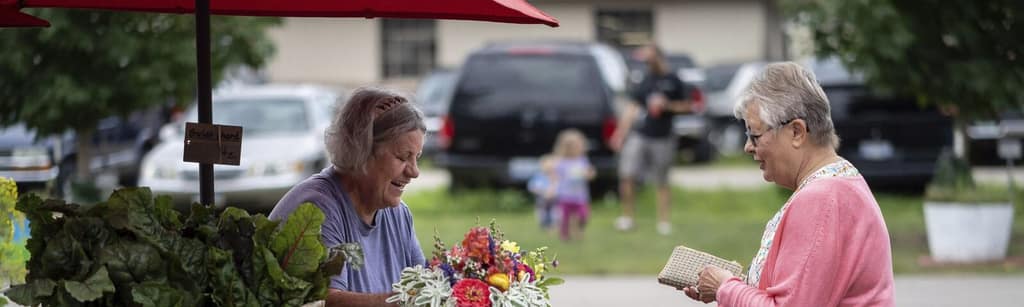 Things To Do — City of Tecumseh Downtown Development Authority