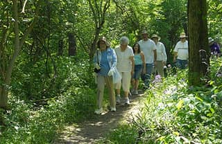 Walkers on a wooded trail in Tecumseh