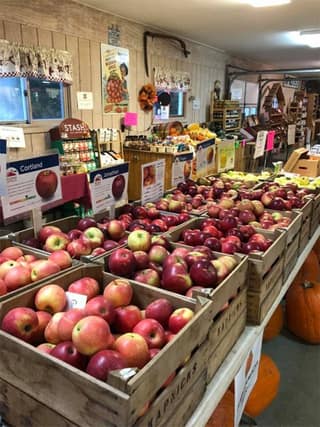 Apples at an orchard near Tecumseh